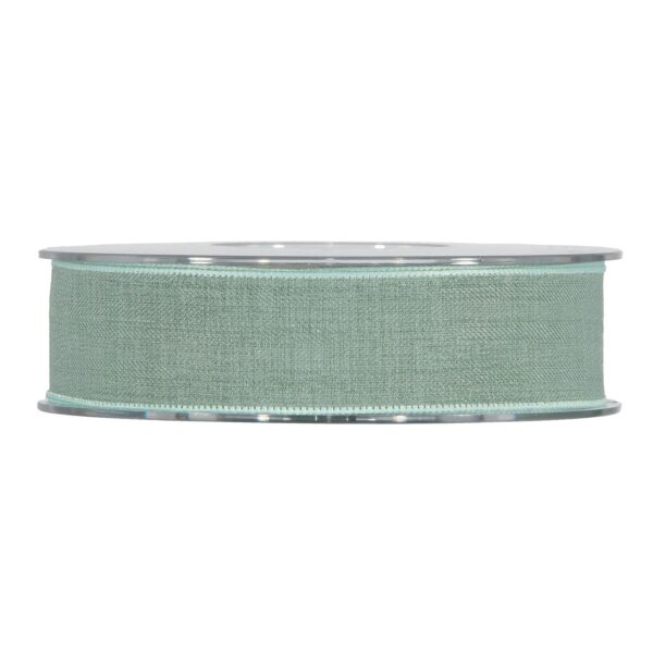 NASTRO CARNIVAL MM 25 MT 15  salvia (Cod. 37473-04)