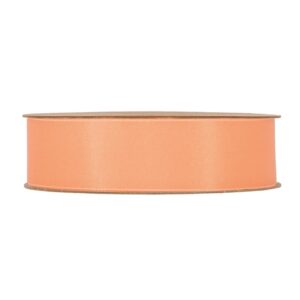 NASTRO IN PET RICICLATO MM15 20MT pesca (Cod. 37474-06)