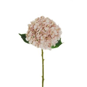 ORTENSIA JULIET CON 3 FOGLIE H50 D18 CM crema-rosa-antico (Cod. 33242-02)