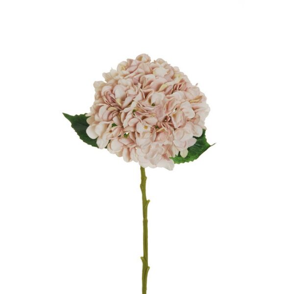 ORTENSIA JULIET CON 3 FOGLIE H50 D18 CM crema-rosa-antico (Cod. 33242-02)