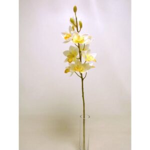 RAMO CYMBIDIUM 76 CM crema (Cod. 37413-04)
