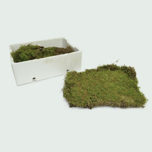 MUSCHIO PLATMOSS SECCO 750 GR  (Cod. 33379-01)