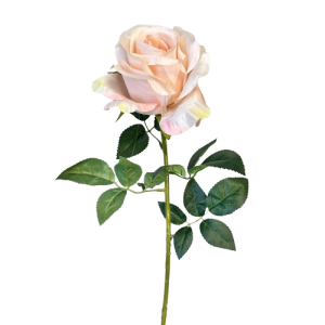 ROSA COLOMBIA 68 CM rosa-chiaro (Cod. 37597-02)