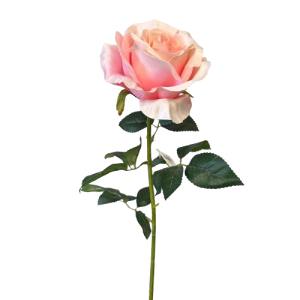 ROSA COLOMBIA 68 CM rosa (Cod. 37597-05)
