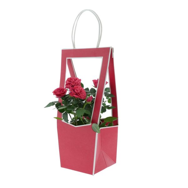 BORSE MEDAILLON SMALL 11,8X12X35 CM 5 PZ. rosso (Cod. 37215-02)
