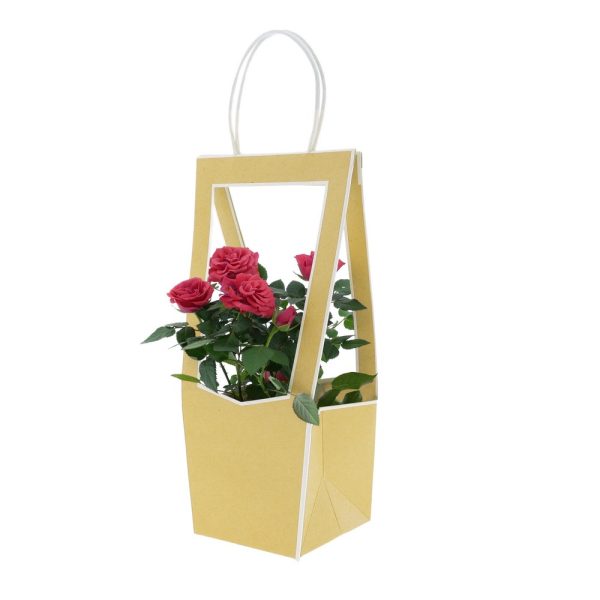 BORSE MEDAILLON SMALL 11,8X12X35 CM 5 PZ. naturale (Cod. 37215-03)