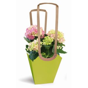 BORSA CARTA AQUA PICCOLA 6,5X10 H13 10PZ verde (Cod. 18482-04)