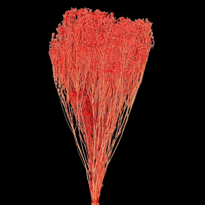 BROOM BLOOM COL. MAZZO GR.100 rosso-vivo (Cod. 6013-09)