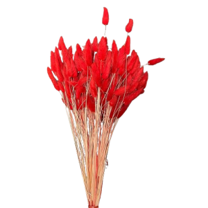 LAGURUS TOPINI GR.100 rosso-vivo (Cod. 32442-06)
