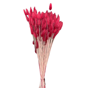 LAGURUS TOPINI GR.100 magenta (Cod. 32442-08)