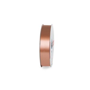 NASTRO MM.31 LISCIO MT.100 nocciola-col.-10 (Cod. 1018-06)