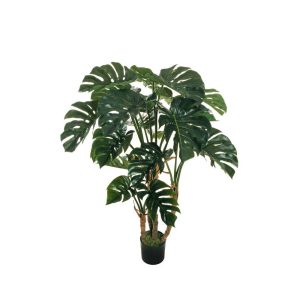 PHILODENDRO MONSTERA 140 CM  (Cod. 37672-01)