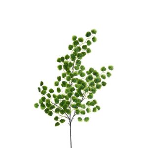 RAMO CAPELVENERE X130 CM60 verde (Cod. 35984-01)