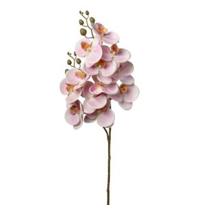 RAMO ORCHIDEA X12 FIORI H74CM rosa-chiaro (Cod. 37875-04)