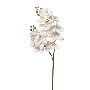 RAMO ORCHIDEA X12 FIORI H74CM bianco (Cod. 37875-05)