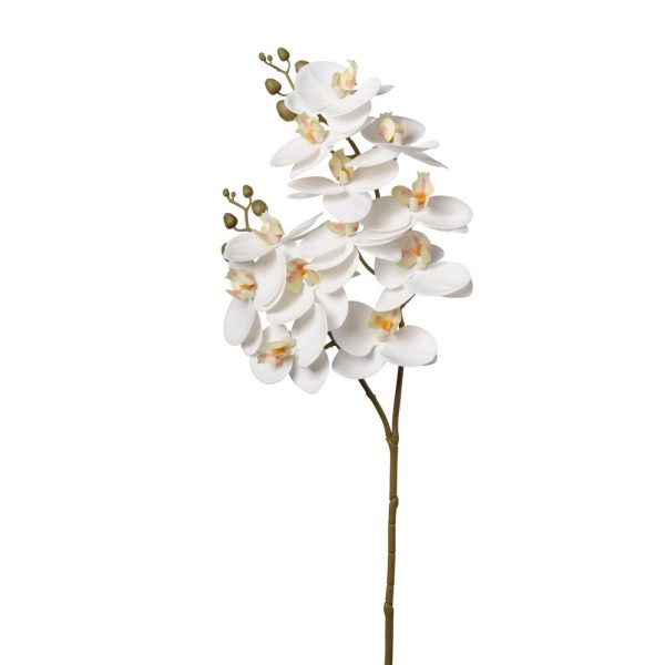 RAMO ORCHIDEA X12 FIORI H74CM bianco (Cod. 37875-05)