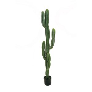 CACTUS SOFT TOUCH  H153 CM  (Cod. 37846-01)