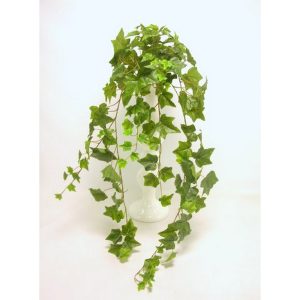 EDERA 159 FOGLIE CM100 verde (Cod. 29981-01)