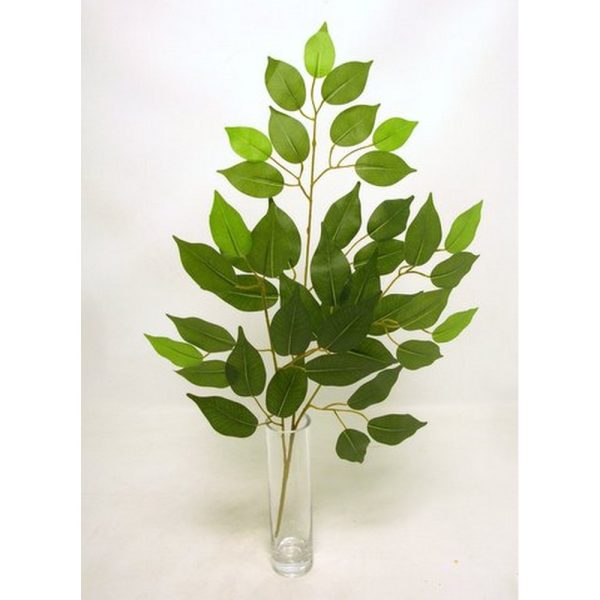 RAMO FICUS X42 FOGLIE verde (Cod. 29682-01)