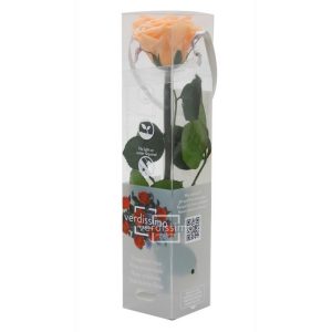 GIFT BOX AMOROSA MINI H27,5 DIAM. TESTA 3,5-4,5 pesca (Cod. 17974-09)