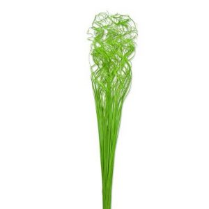 CURLY TING TING MAZZO 200GR verde-mela (Cod. 7501-03)