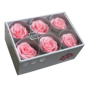 BOX TESTE DI ROSA D 6-6,5CM STABILIZ. PZ.6 rosa-pastello (Cod. 8330-09)