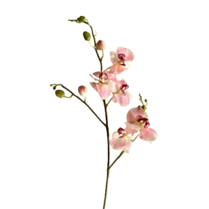 RAMO PHALENOPSIS X3 CM.90 NATURAL TOUCH  (Cod. 7825-01)
