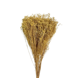 BROOM BLOOM COL. MAZZO GR.100 naturale (Cod. 6013-17)