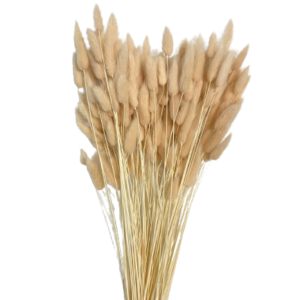 LAGURUS TOPINI GR.100 pesca (Cod. 32442-05)