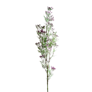 RAMO ROSEMARY X3 78CM  INFIORESCENZA lilla (Cod. 26423-01)