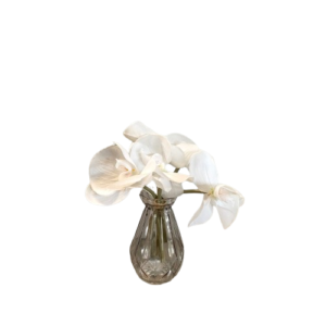 PHALENO REAL TOUCH X5PZ  25CM bianco (Cod. 27768-01)