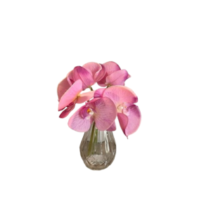 PHALENO REAL TOUCH X5PZ  25CM malva (Cod. 27768-03)