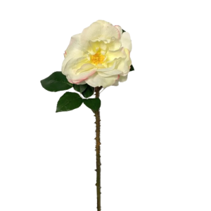 ROSA CON SPINE CM.60 bianco (Cod. 24055-03)