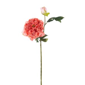 PEONIA CON BOCCIOLO DRY H.64 CM rosa-scuro-23 (Cod. 37919-02)