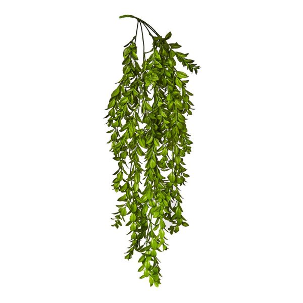 CASCANTE PIANTA GRASSA 80 CM  (Cod. 37924-01)