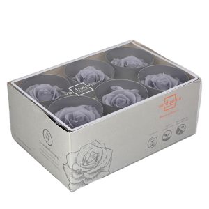 BOX TESTE DI ROSA D 6-6,5CM STABILIZ. PZ.6 grigio- (Cod. 8330-05)