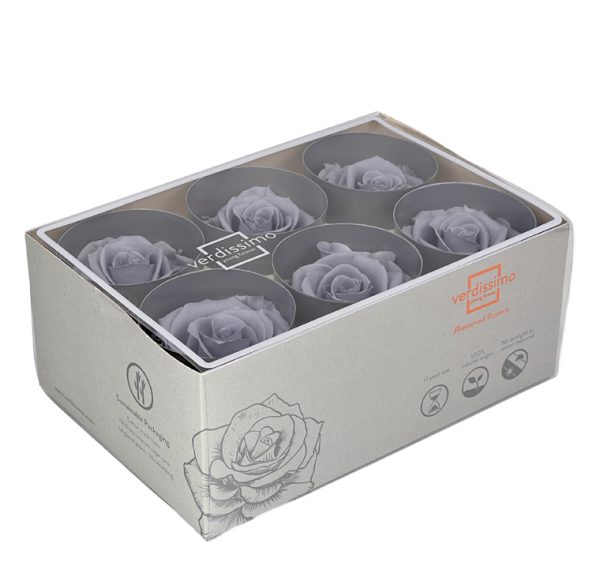 BOX TESTE DI ROSA D 6-6,5CM STABILIZ. PZ.6 grigio- (Cod. 8330-05)