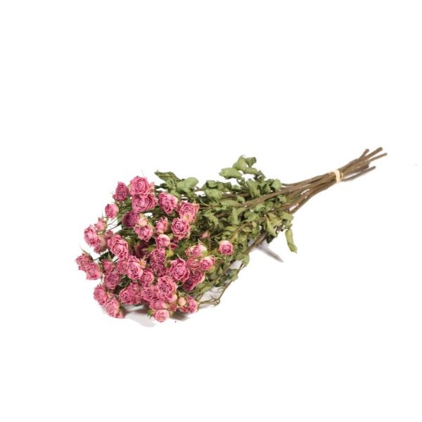 MAZZO ROSE ESSICCATE rosa-chiaro-naturale (Cod. 38021-01)