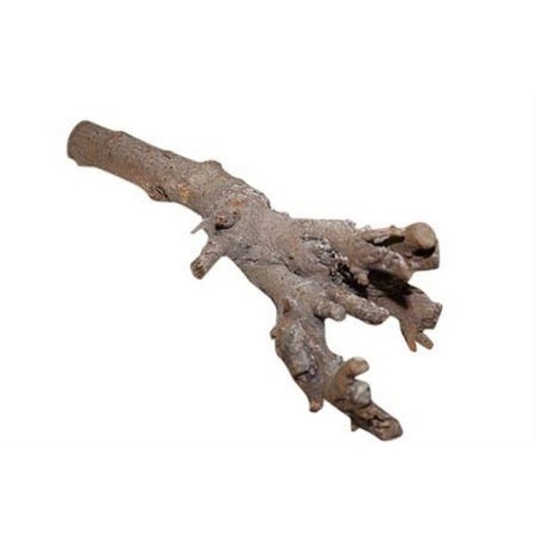 RADICE KUWA H.40 CM  (Cod. 38066-01)