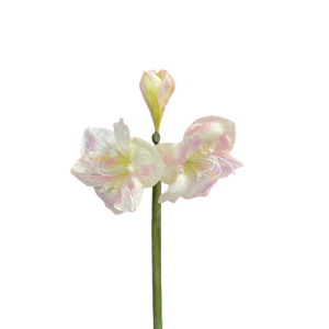 RAMO AMARYLLIS 2 FIORI 65 CM  (Cod. 3137-01)