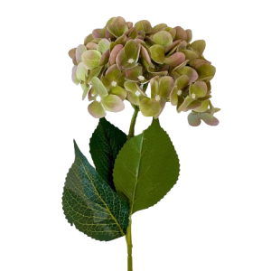 RAMO ORTENSIA verde-muschio (Cod. 35696-02)