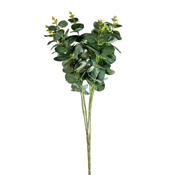 BUSH EUCALYPTUS NATURALE 50 CM  (Cod. 37720-01)