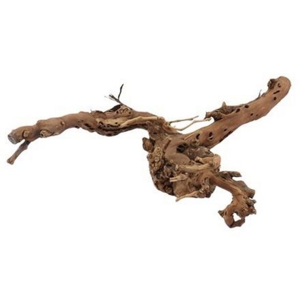 RADICE GRAPE 75 CM  (Cod. 38087-01)