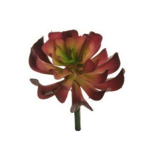 SOFT PLASTIC LOTUS SUCCULENT D.12 CM rosso (Cod. 38083-03)