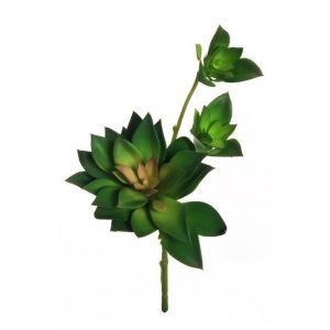 SOFT PLASTIC HANGING ECHEVERIA D.5-14 CM verde (Cod. 38088-01)