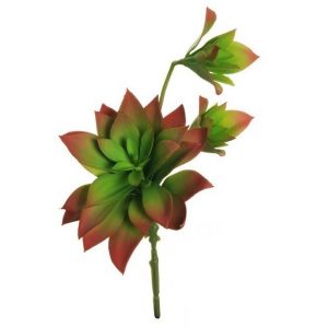 SOFT PLASTIC HANGING ECHEVERIA D.5-14 CM verde-rosso (Cod. 38088-02)