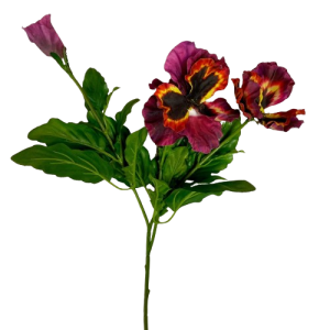 VIOLA DEL PENSIERO CON 3 FIORI viola-giallo (Cod. 24056-02)