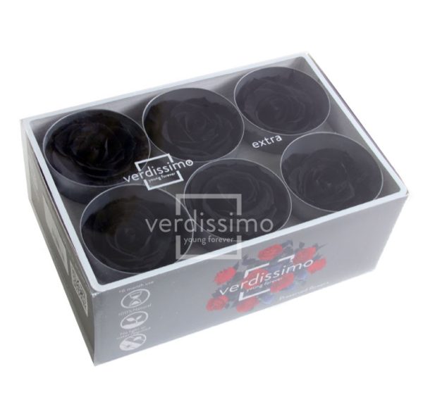 BOX TESTE DI ROSA D 6-6,5CM STABILIZ. PZ.6 nero (Cod. 8330-18)