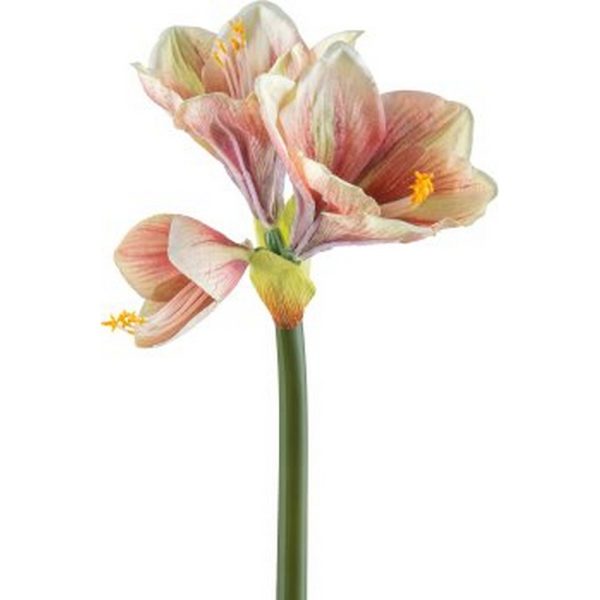 AMARYLLIS 68 CM rosa (Cod. 30605-02)
