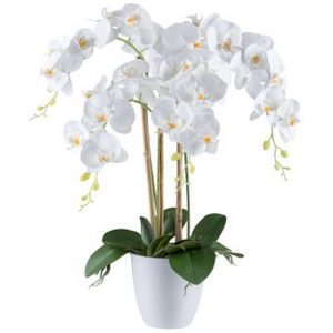 PHALENO REAL TOUCH 62CM X4 IN VASO 15X14CM   (Cod. 38229-01)
